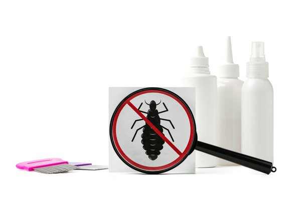 Gamme de produits naturels contre les poux : efficacité sans compromis